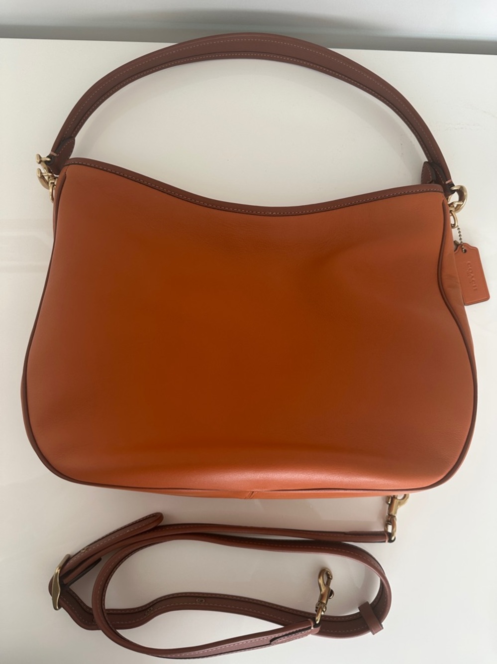 Coach Soft Tabby Hobo Shoulder Crossbody Bag in Colorblock Canyon C6660 - Picture 2 of 14